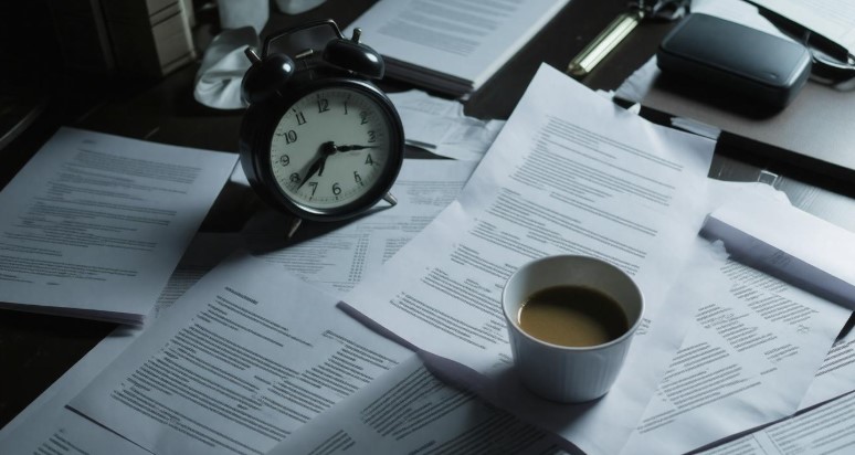 role of insurance adjuster